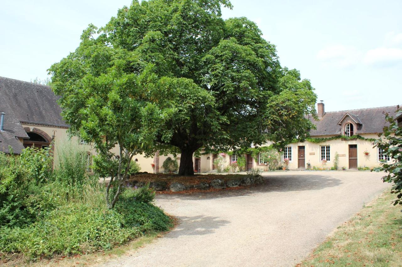Gite Des Etangs De Beaulieu Le Plessis-Dorin 외부 사진